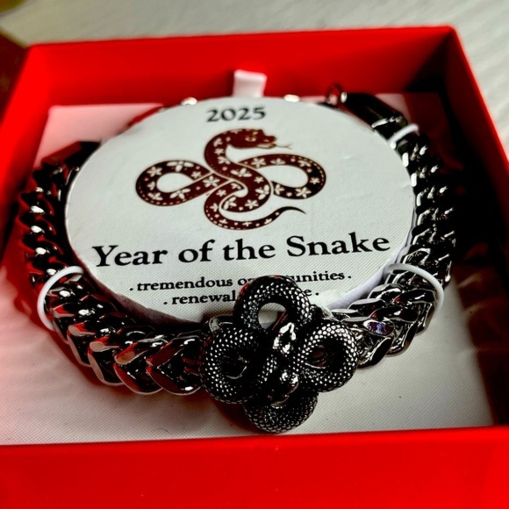 Year of the Snake Chain Link Bracelet Black Silver Tone NWT 2025